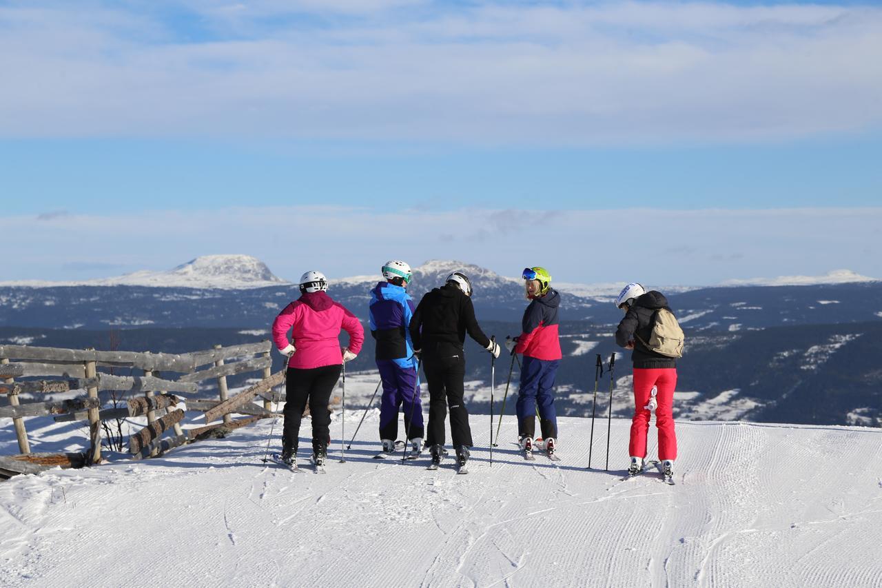 Hotel Gomobu Fjellstue Ron Exteriér fotografie
