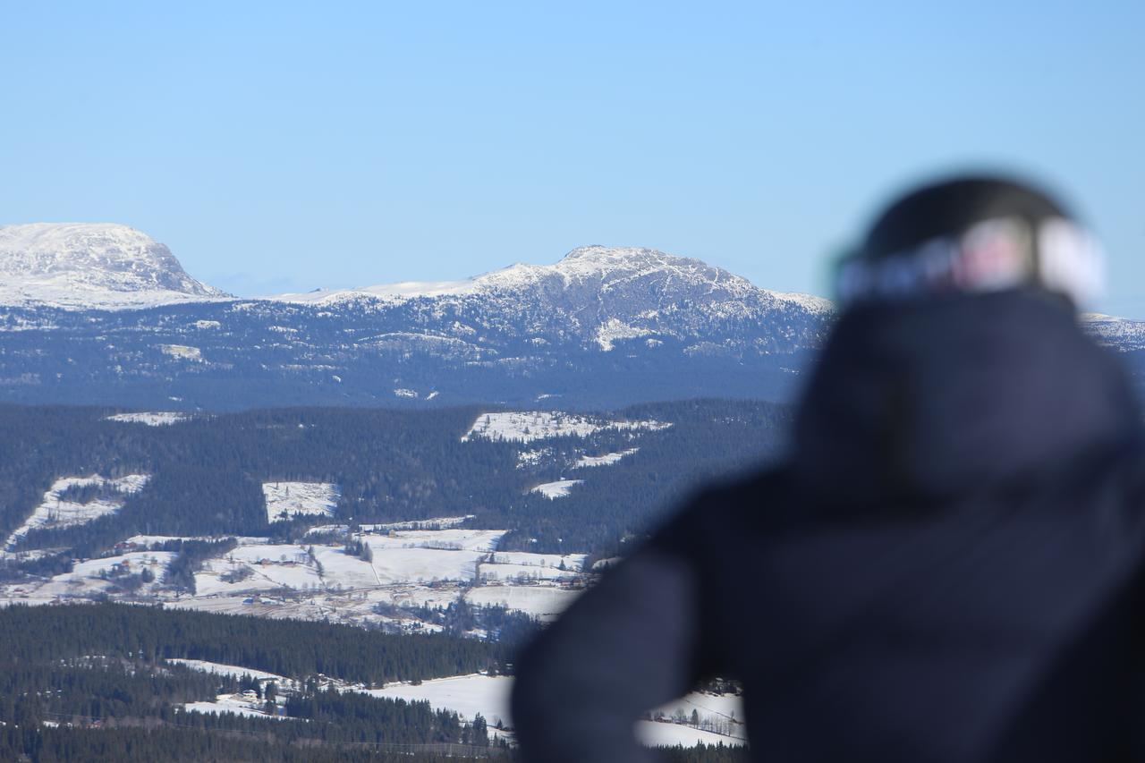 Hotel Gomobu Fjellstue Ron Exteriér fotografie