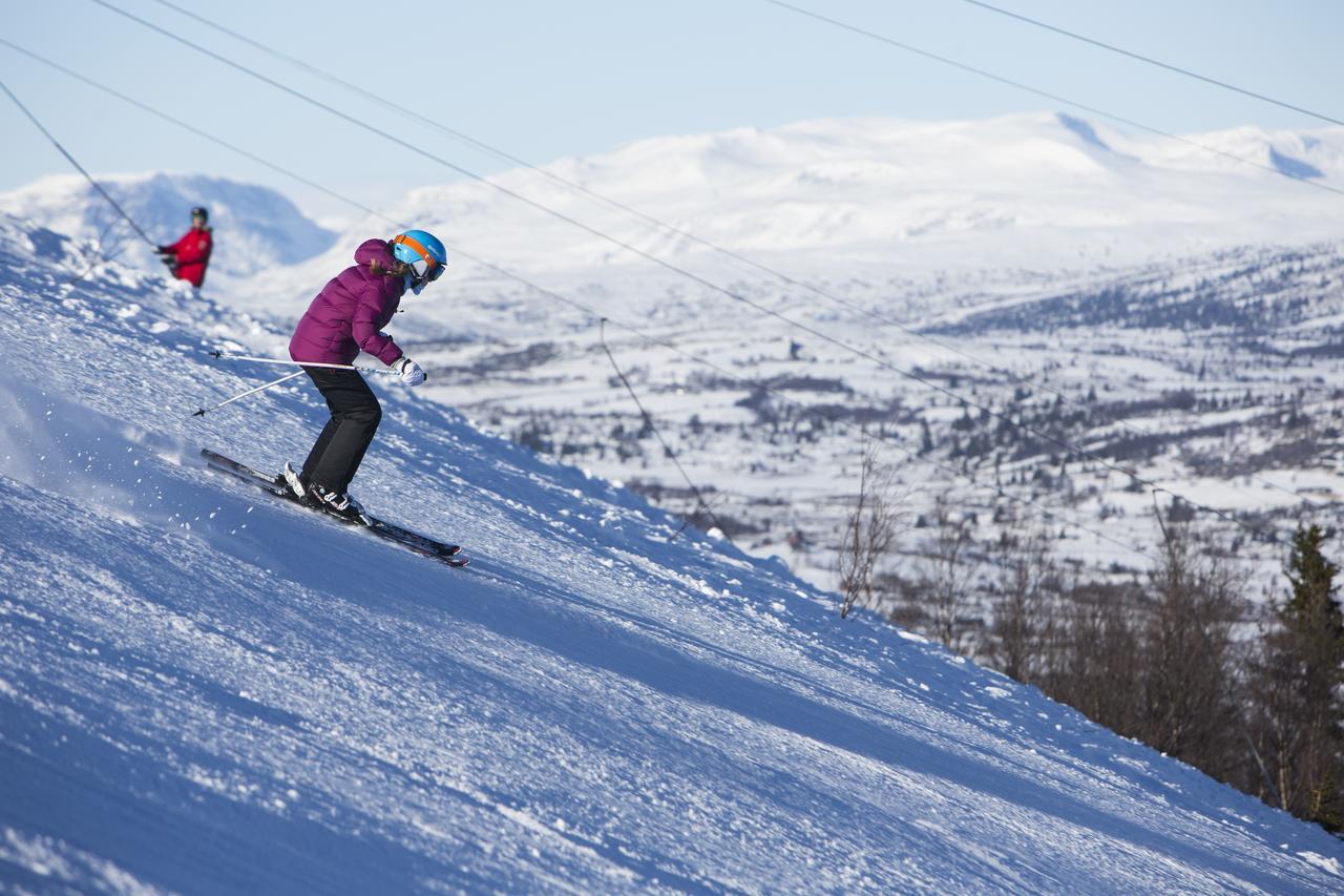 Hotel Gomobu Fjellstue Ron Exteriér fotografie