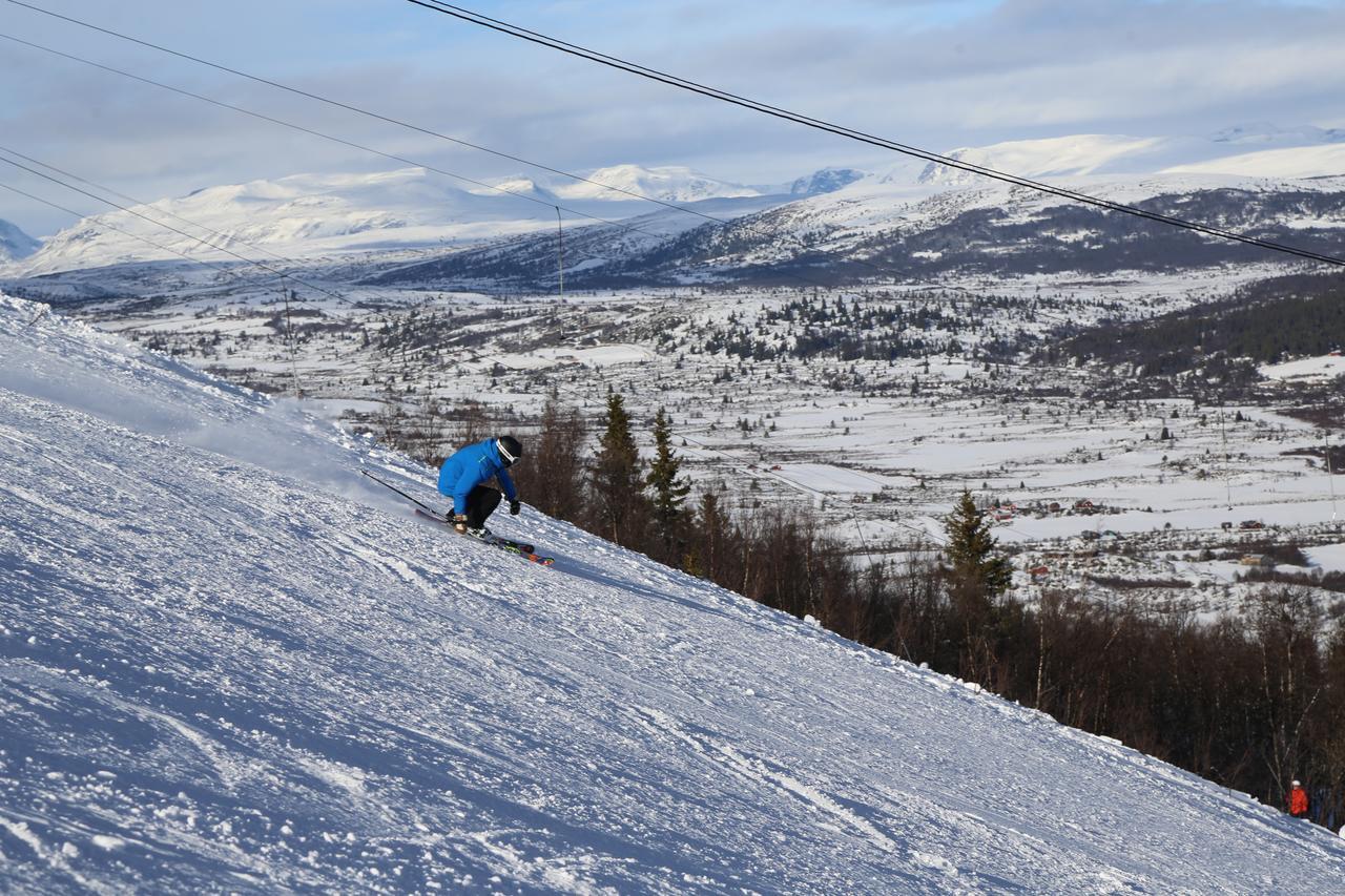 Hotel Gomobu Fjellstue Ron Exteriér fotografie