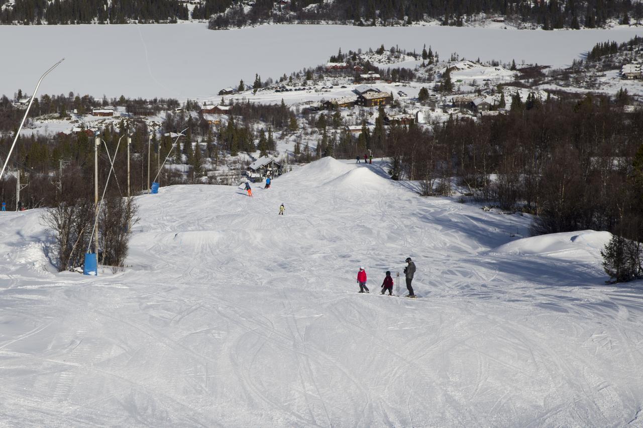 Hotel Gomobu Fjellstue Ron Exteriér fotografie