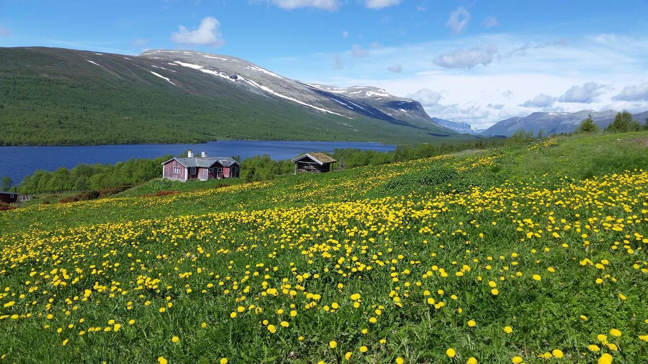 Hotel Gomobu Fjellstue Ron Exteriér fotografie